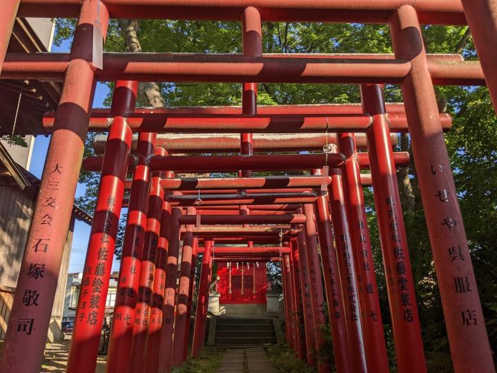 愛宕神社 鳥居トンネル
